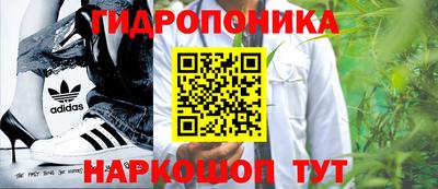 шишки Краснодар