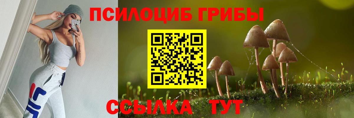 Алапаевск  Галлюциногенные грибы мухоморы  Галлюциногенные грибы прущие грибы  Вход с VPN 